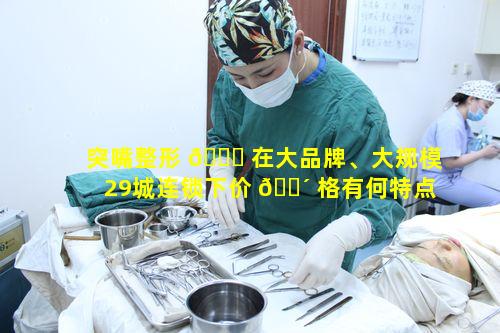突嘴整形 🐅 在大品牌、大规模29城连锁下价 🌴 格有何特点